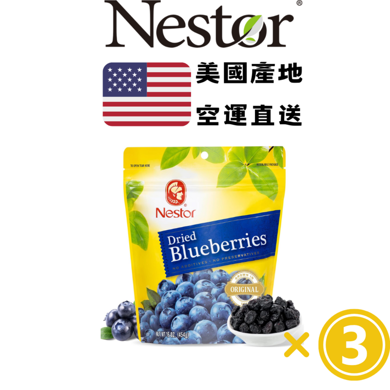 Nestor 蓝莓干454g X3